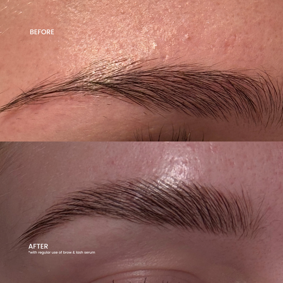 Brow & Lash Serum - Ny formula